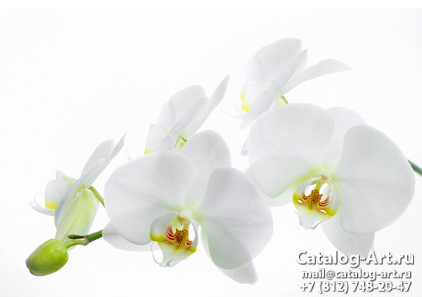 Натяжные потолки с фотопечатью - Белые орхидеи 36